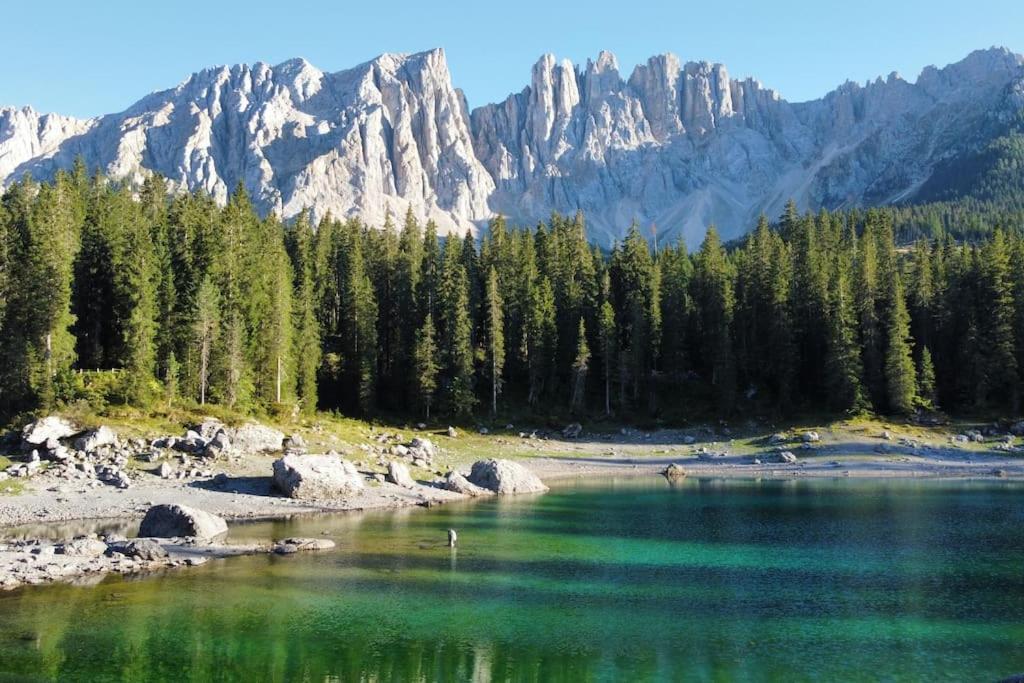 Encia'S Home Dolomiti Кастелло-ді-Ф'ємме Екстер'єр фото